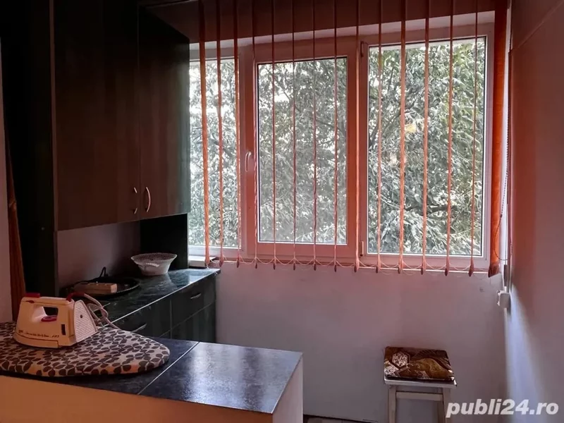 Garsoniera renovata 10 min m Costin Georgian DB1064
